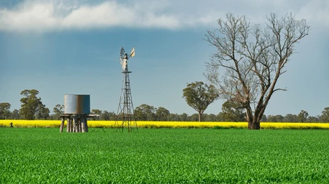 Agricultural water storage tank